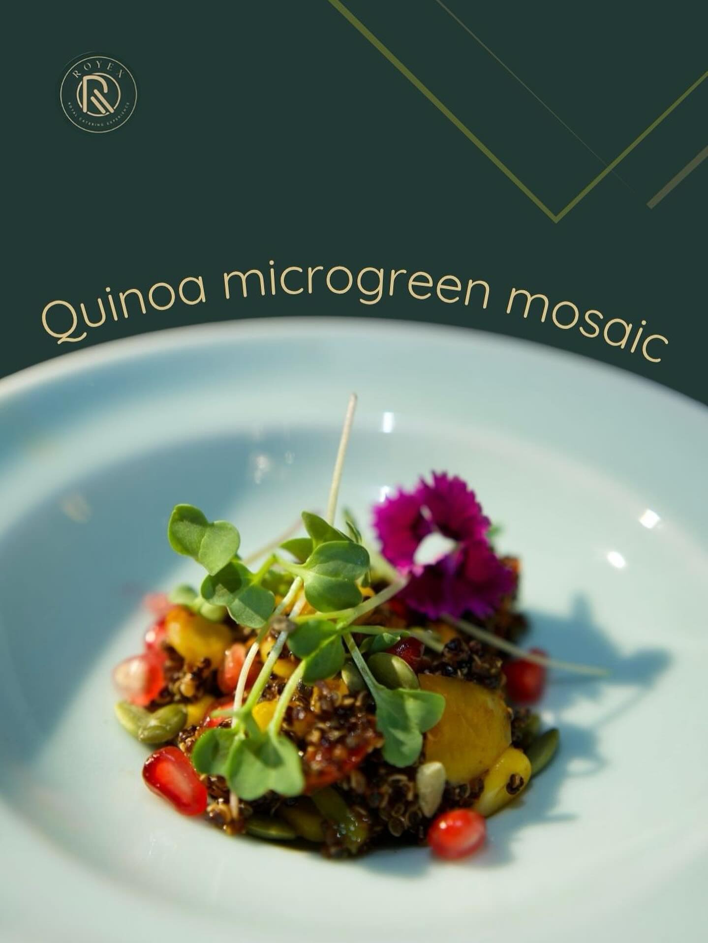 Royex — Quinoa microgreen mosaic